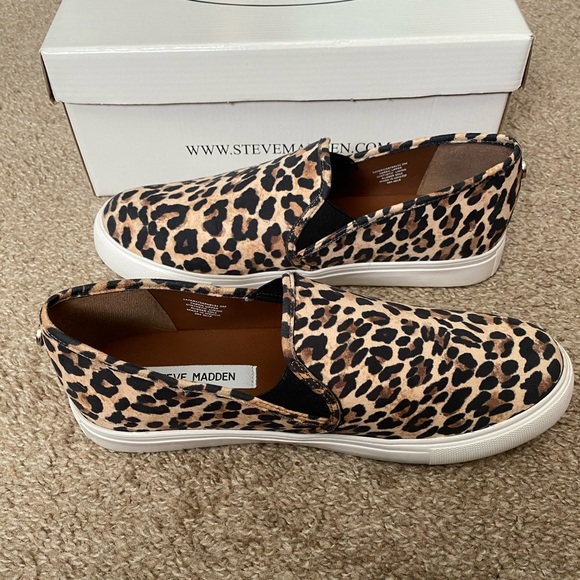 steve madden safary leopard sneakers